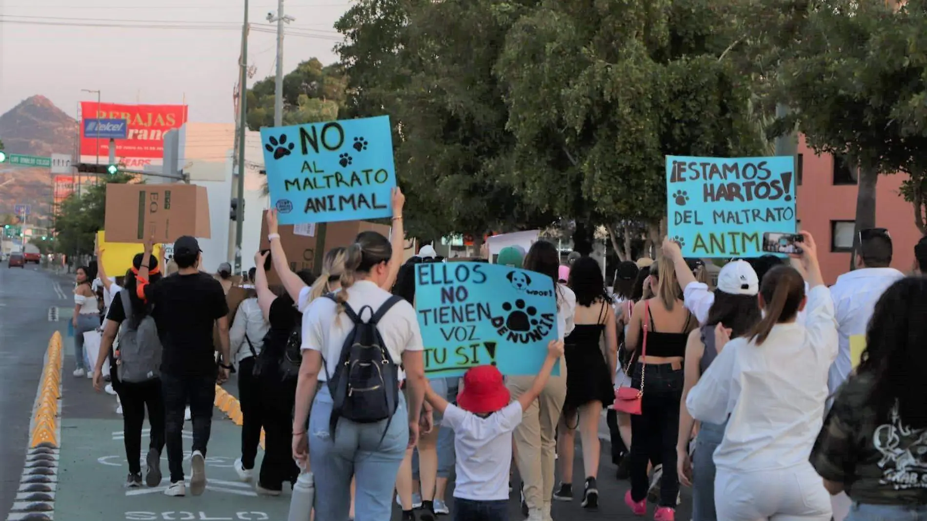 Marcha contra el maltrato animal (2)